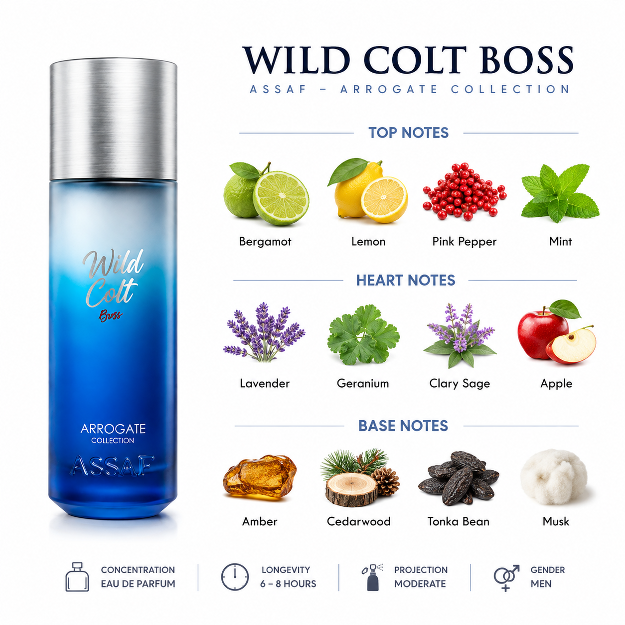 Wild Colt Boss