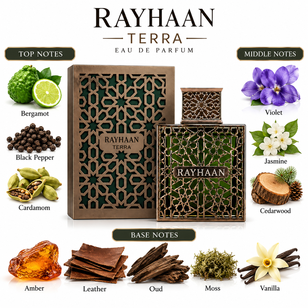 Rayhaan Terra
