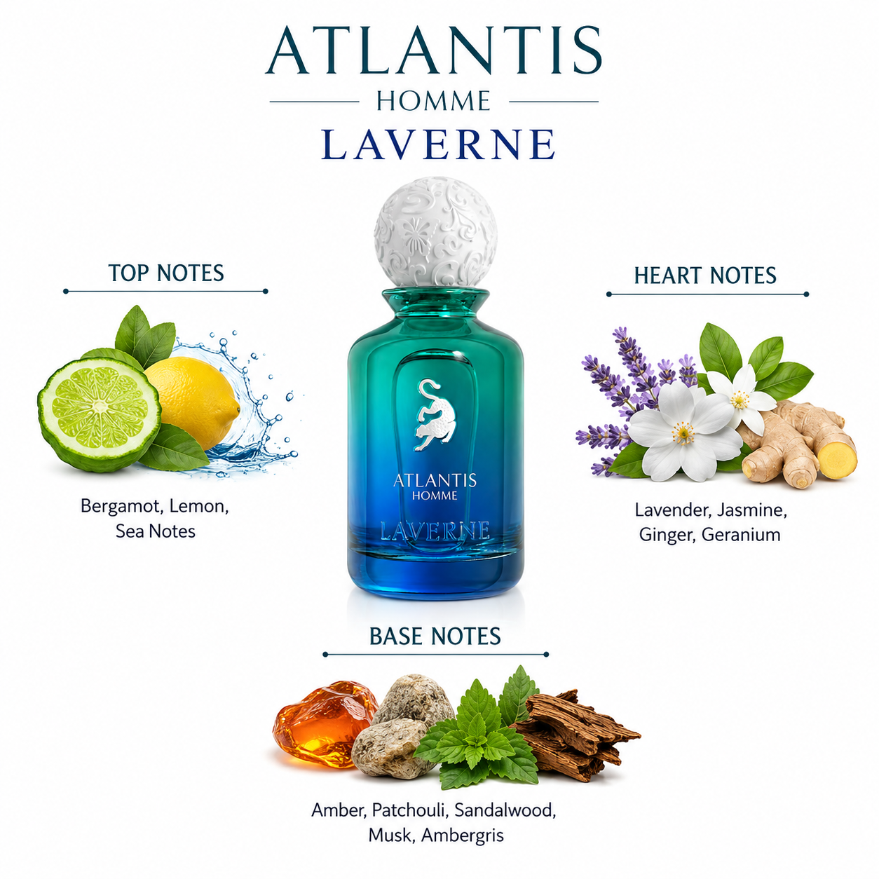 Atlantis Homme