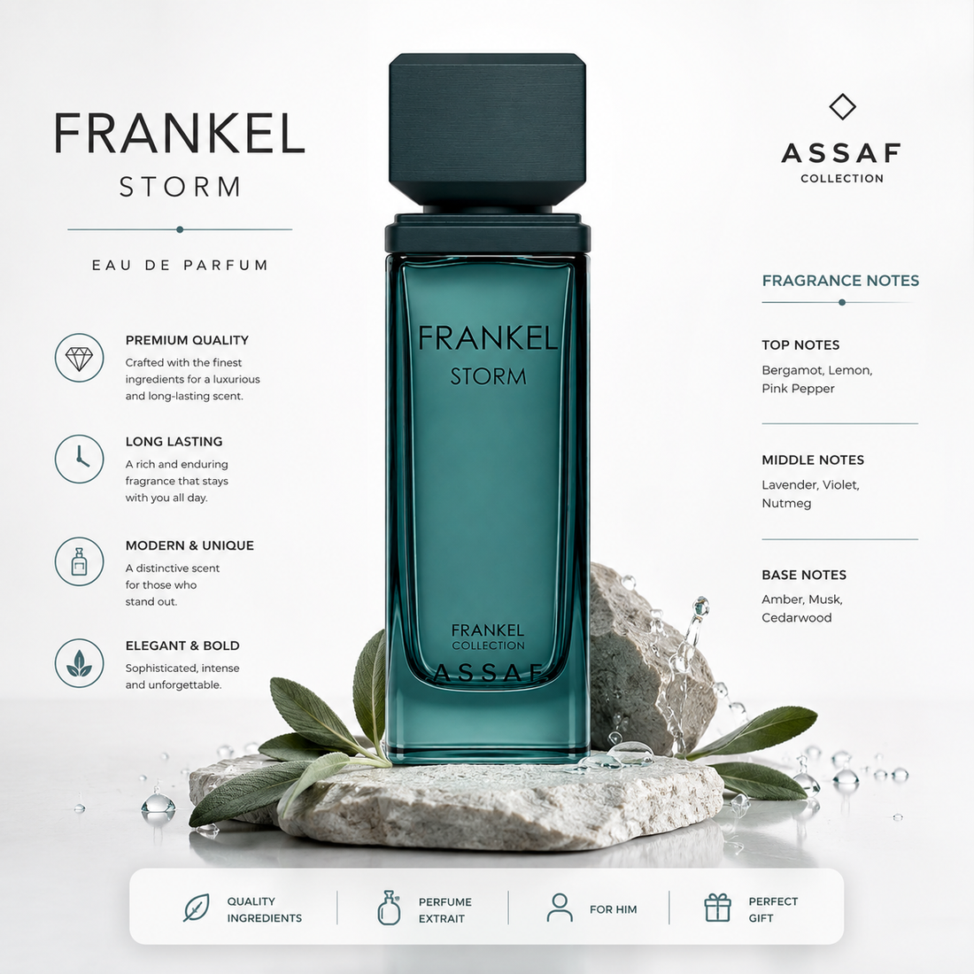 frankel Storm Assaf