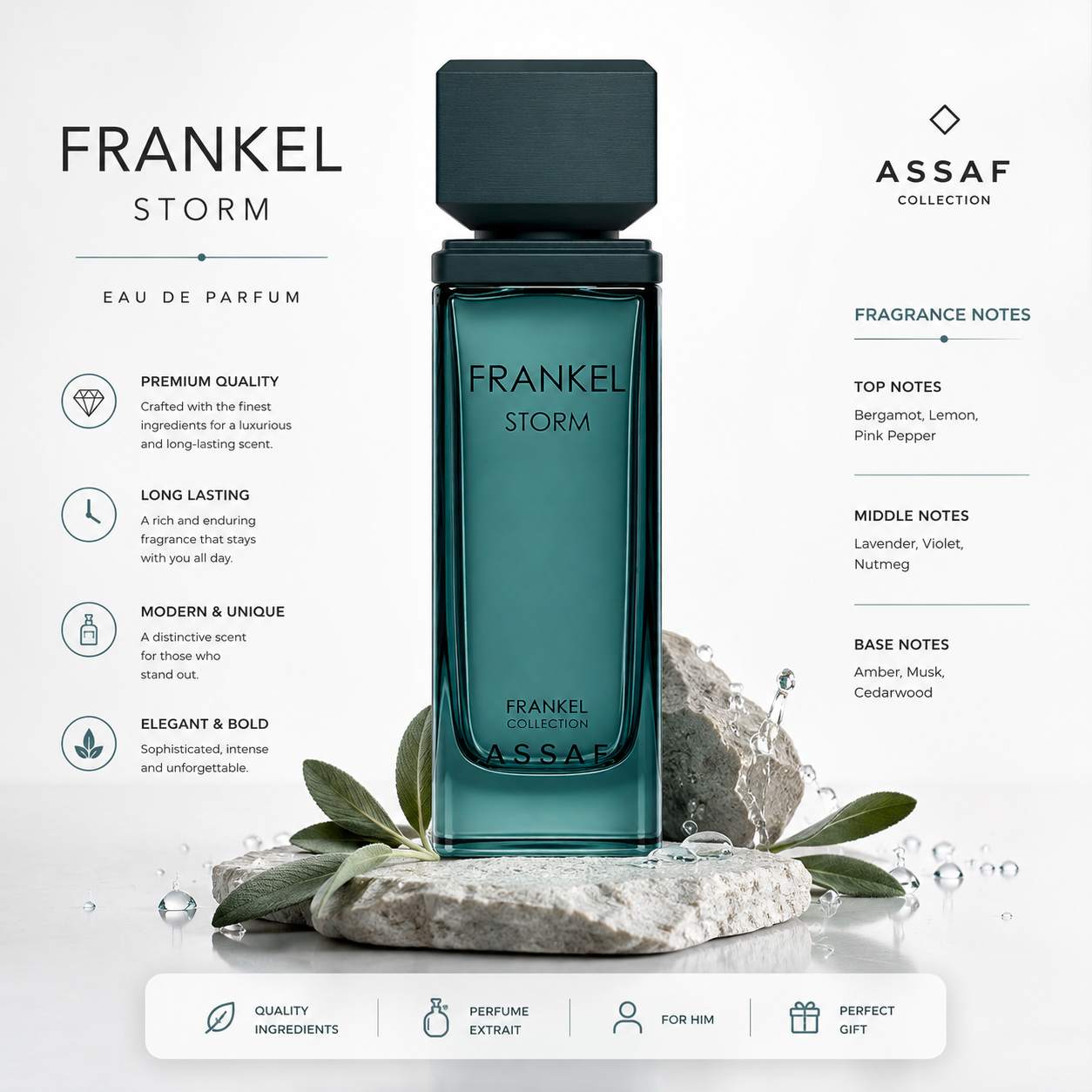 frankel Storm Assaf