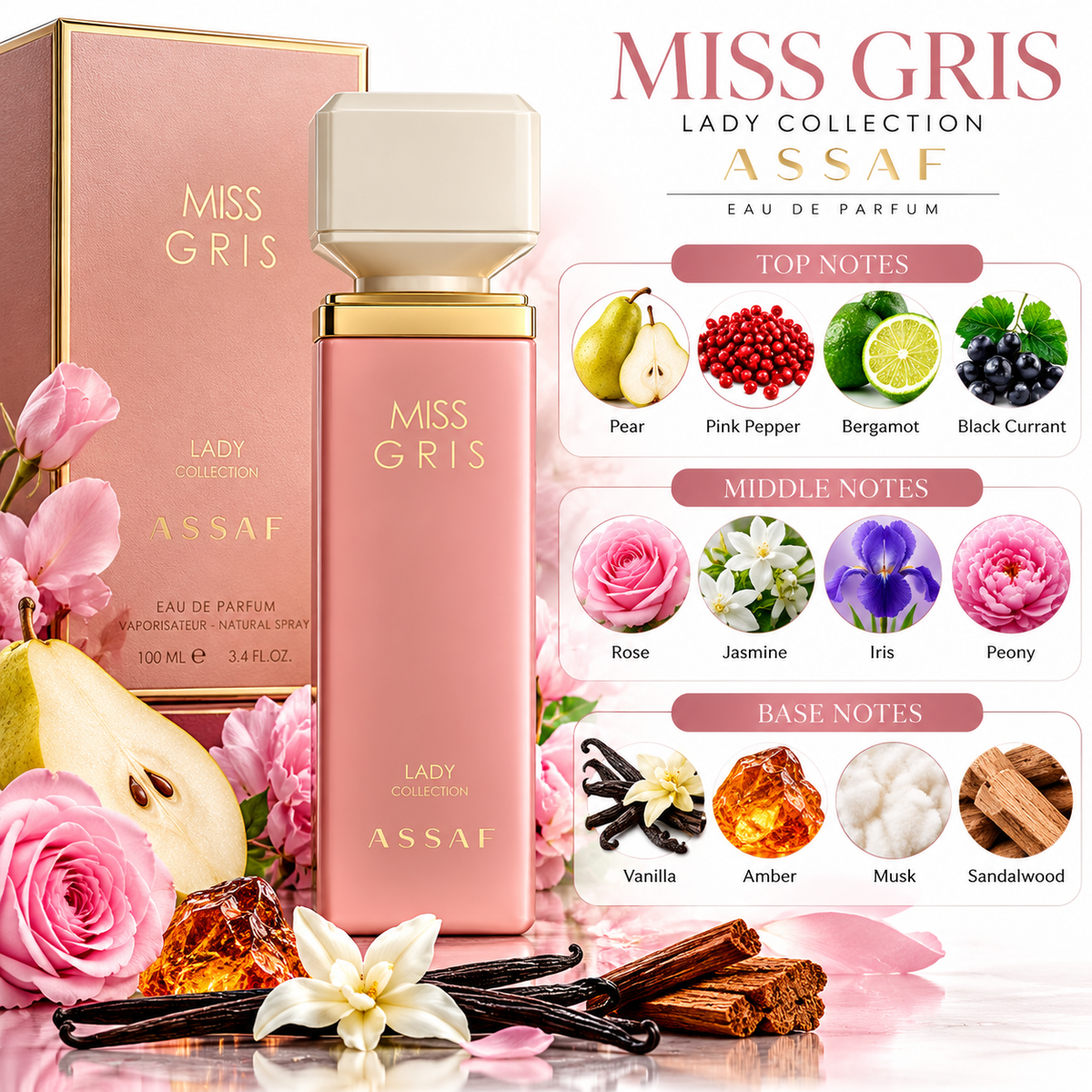 Miss Gris – ASSAF
