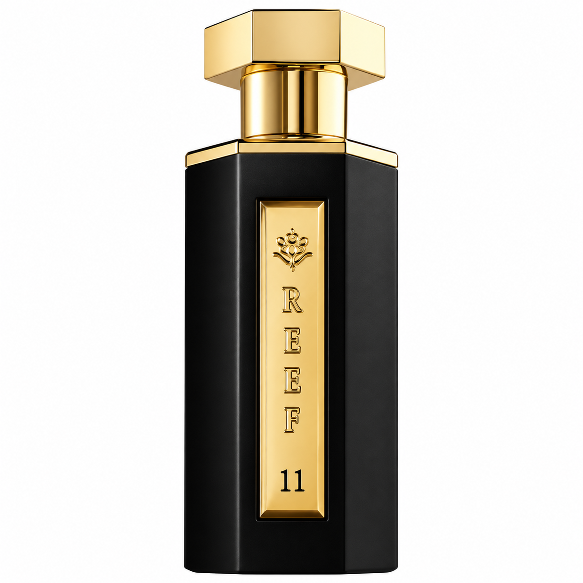 Reef 11