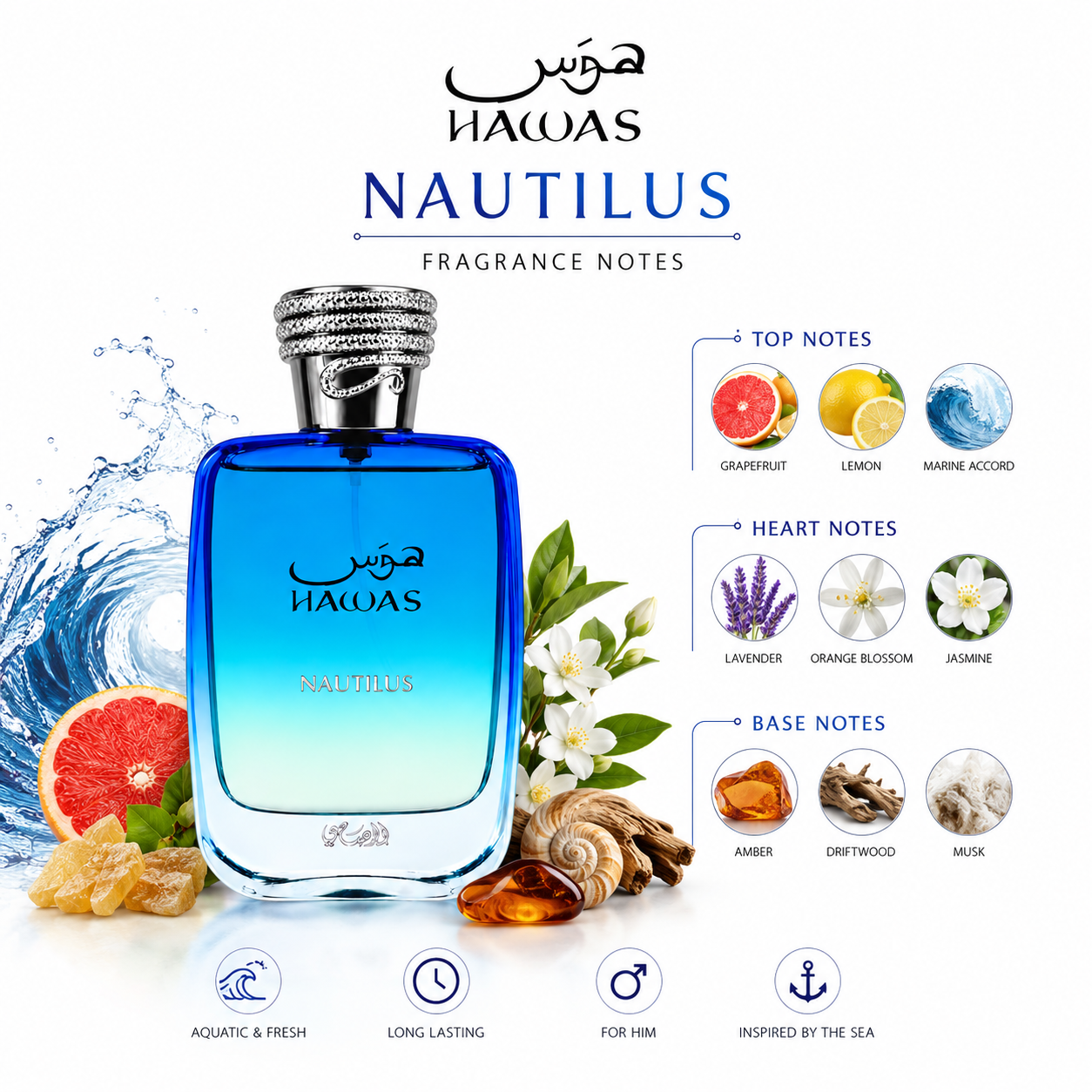 Hawas Nautilus